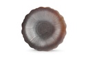 Assiette ailée 28cm Bronze Floret | Val-Enza | Chic