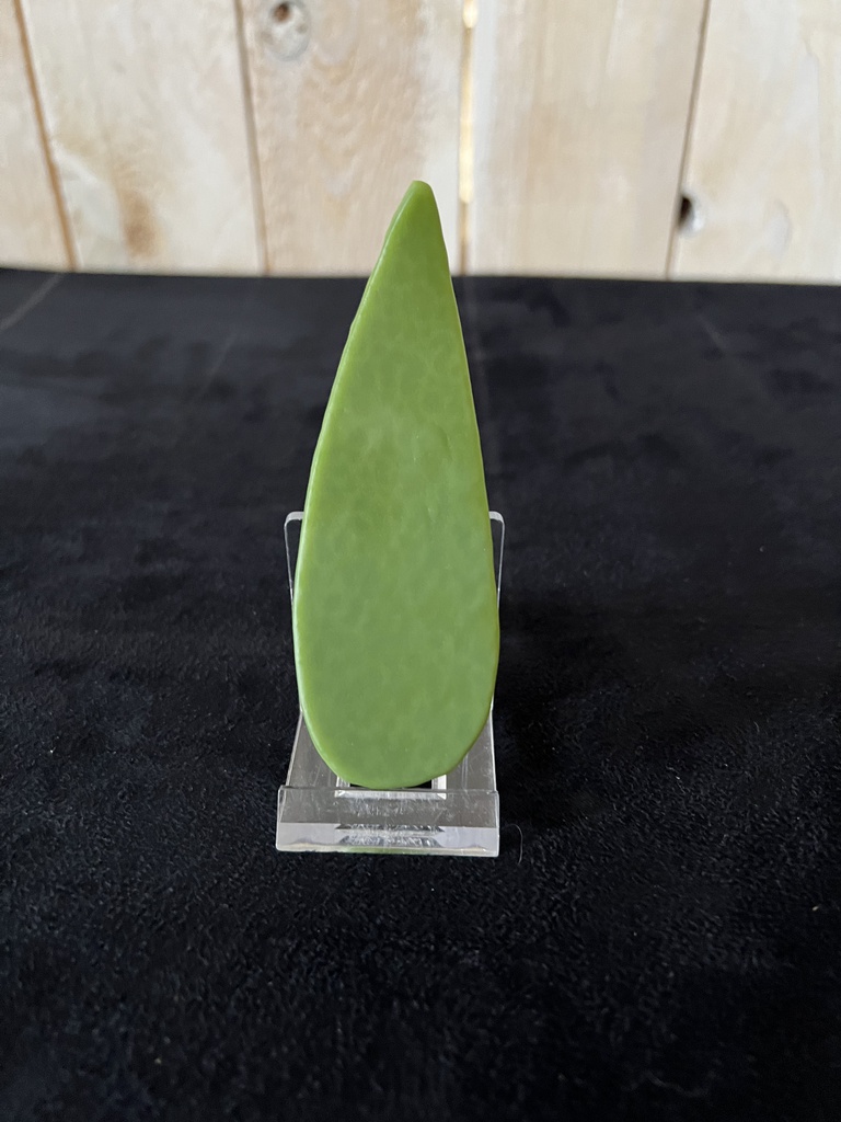 Cuillère 3x10cm Leaf Green