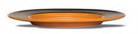 Assiette 33cm Ekate Orange | Val-Enza | Le Coq