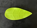 Assiette 22x9,5cm Leaf Green light