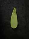 Cuillère 3x10cm Leaf Green