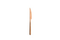 [VE1270] Couteau de table Canada Copper Vintage