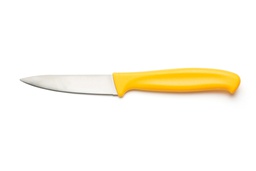 [VE7538] Couteau à fruits 20cm