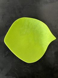 [VEFU-F06-B31] Assiette 21cm Leaf Green light